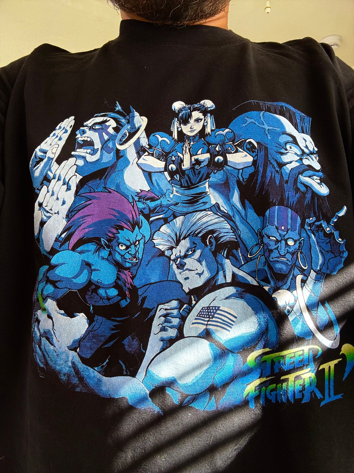 STREET FIGHTER 2 | BLUE DREAM